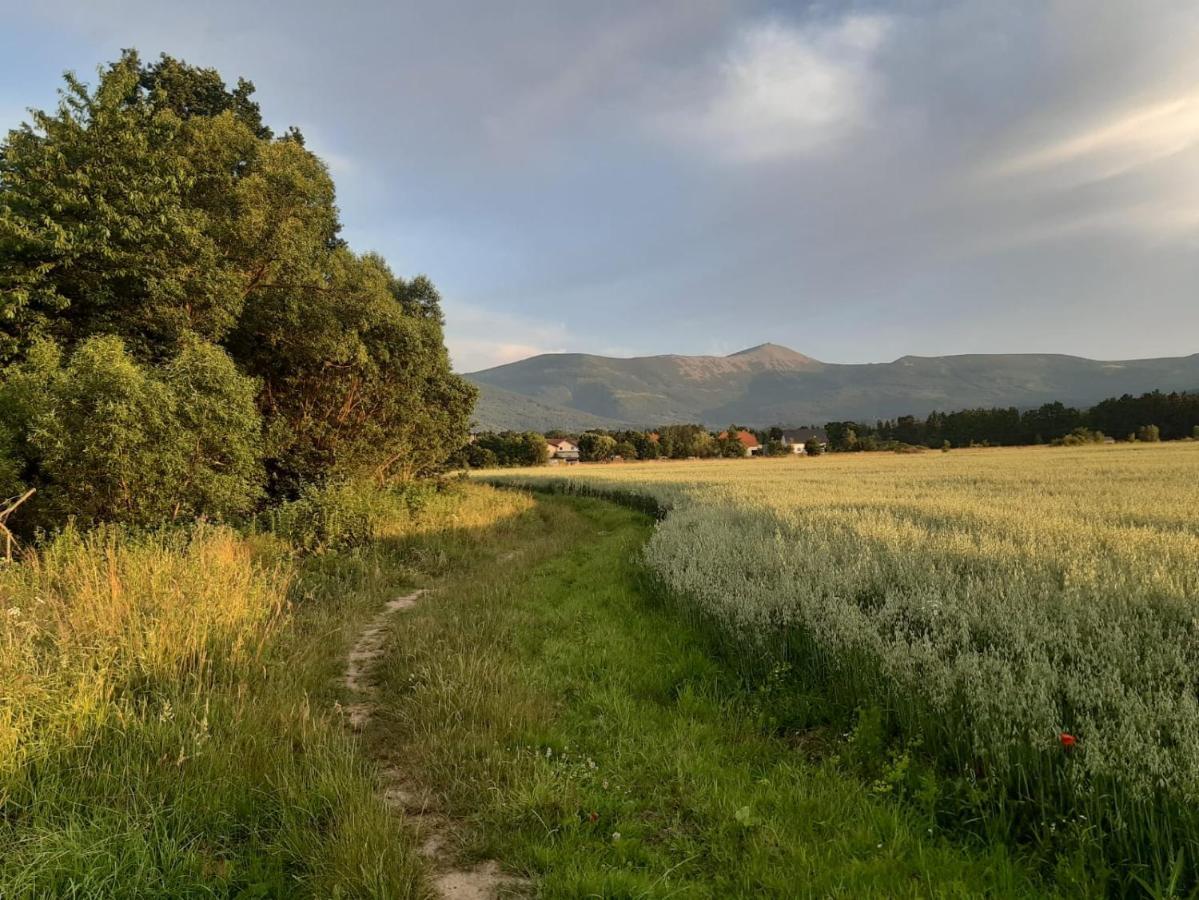 מיז'לקוויצה Willa Kolorowa Chata 6 Km Od Karpacza מראה חיצוני תמונה
